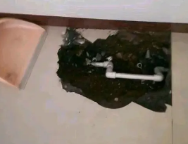 望奎卫生间测漏水多少钱